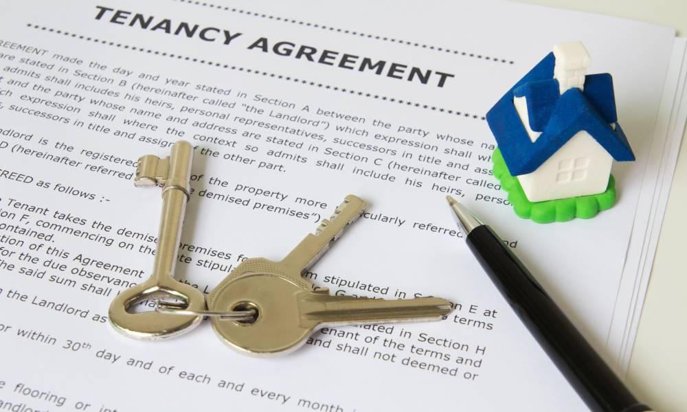 Tips for Screening Tenants In Your Overseas Property • Terra Caribbean