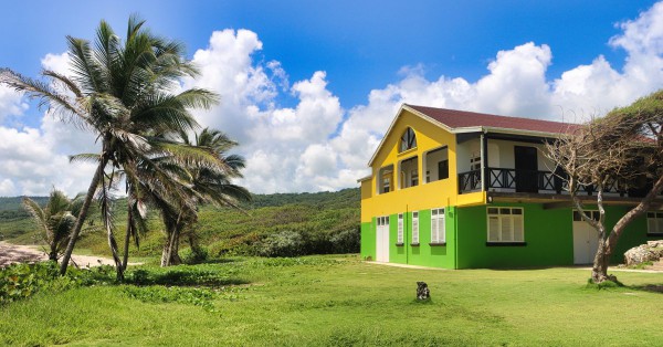 A house in an open area with a few palm trees. The lower half of the house is painted green and the upper half is yellow.